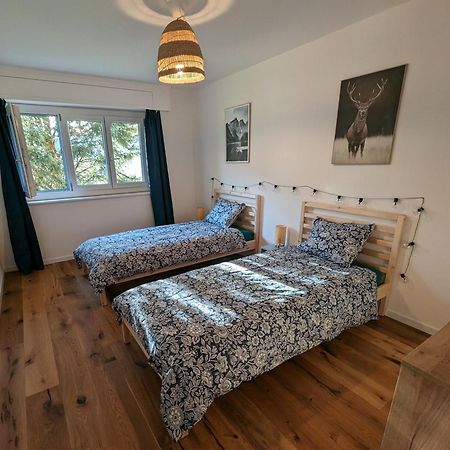 Appartement Spacieux Au Centre De La Gruyere Broc Екстер'єр фото