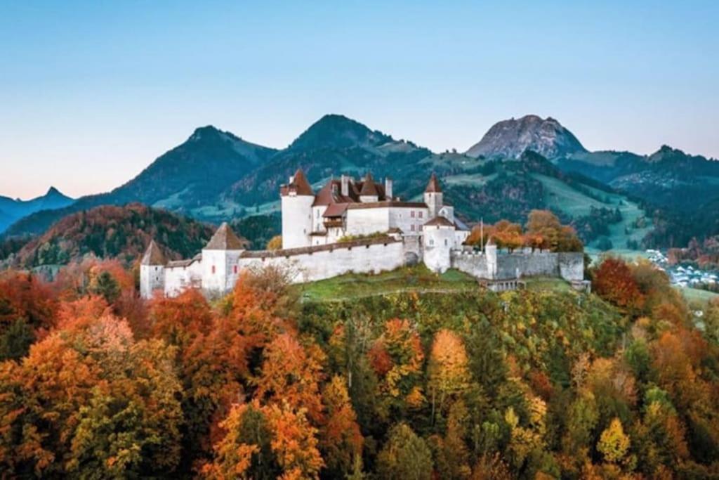 Appartement Spacieux Au Centre De La Gruyere Broc Екстер'єр фото