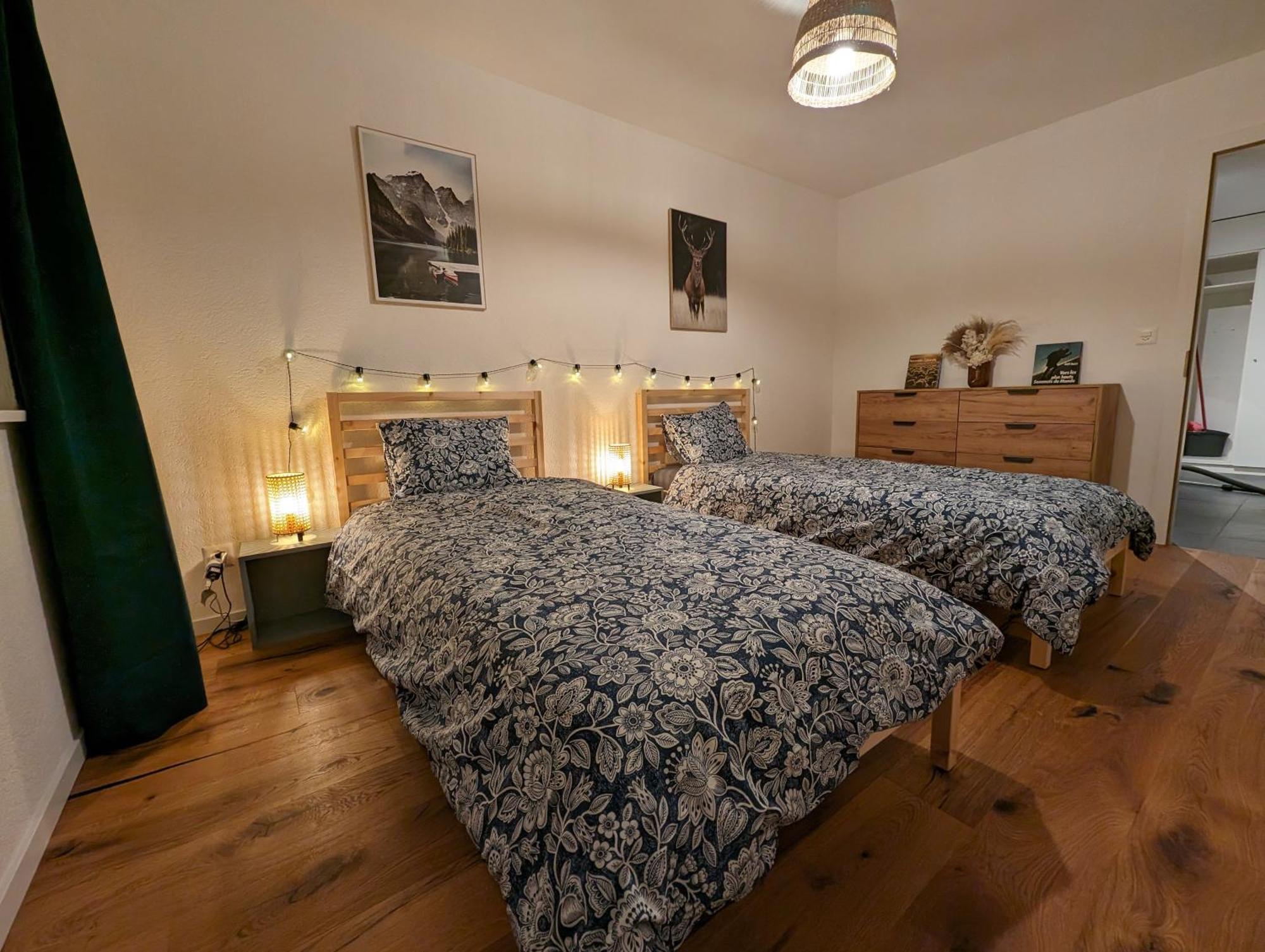 Appartement Spacieux Au Centre De La Gruyere Broc Екстер'єр фото